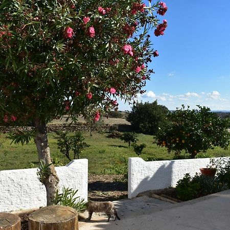 Corte do PintoCasa Da Cercaアパートメント エクステリア 写真
