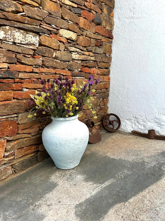 Corte do PintoCasa Da Cercaアパートメント エクステリア 写真