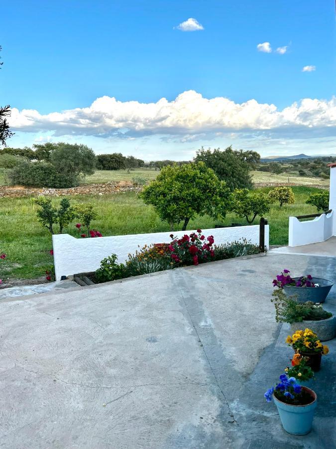 Corte do PintoCasa Da Cercaアパートメント エクステリア 写真